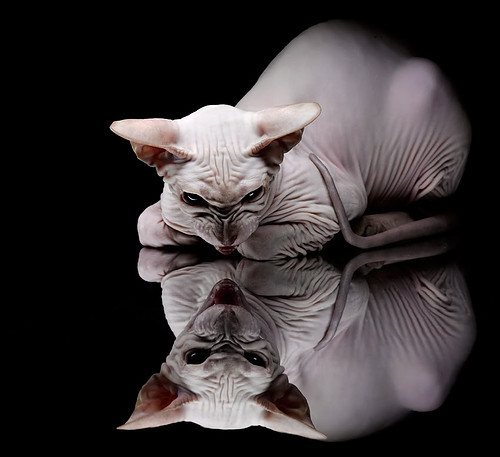 他靠NBA总决赛史上最不擅长的事，拼上了生涯最后一块拼图