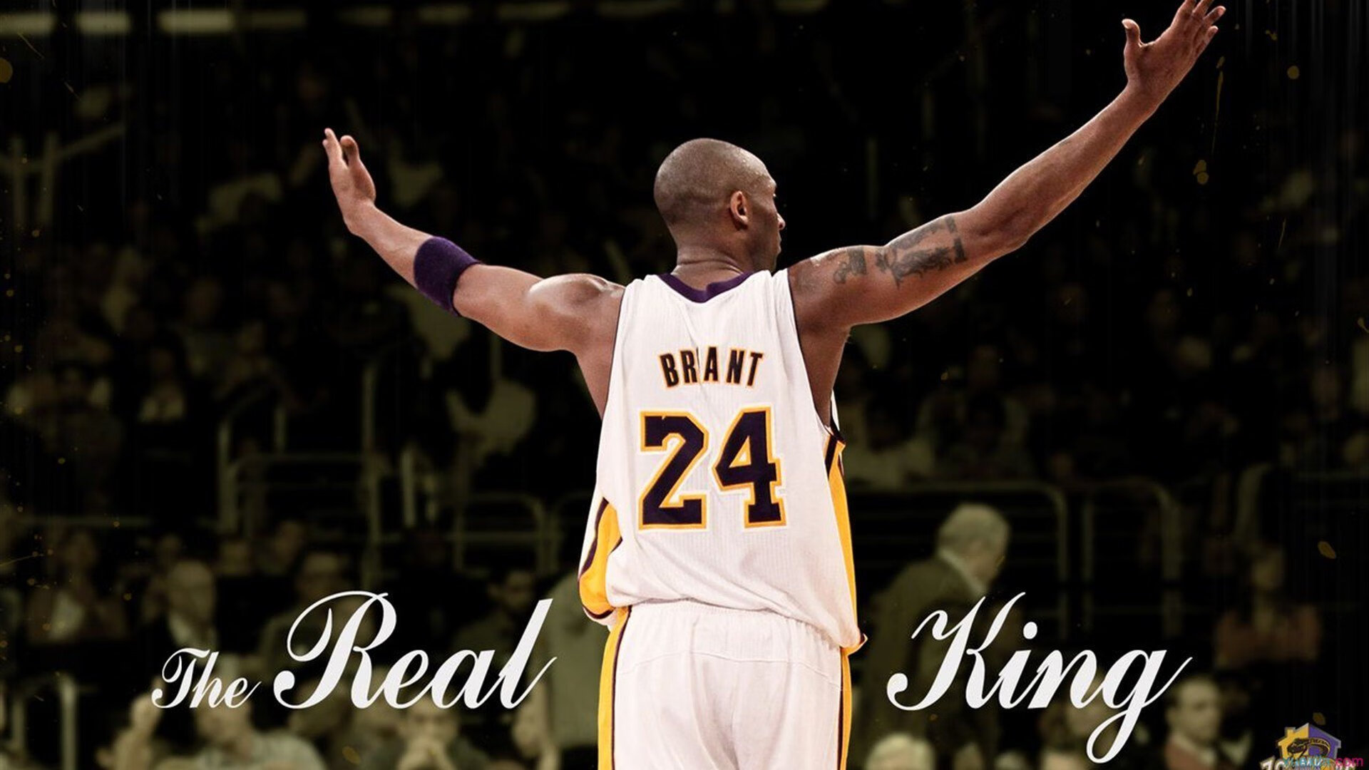 当东方巨龙撞见布鲁克林，深圳队的稳与塔图姆的大场面本色