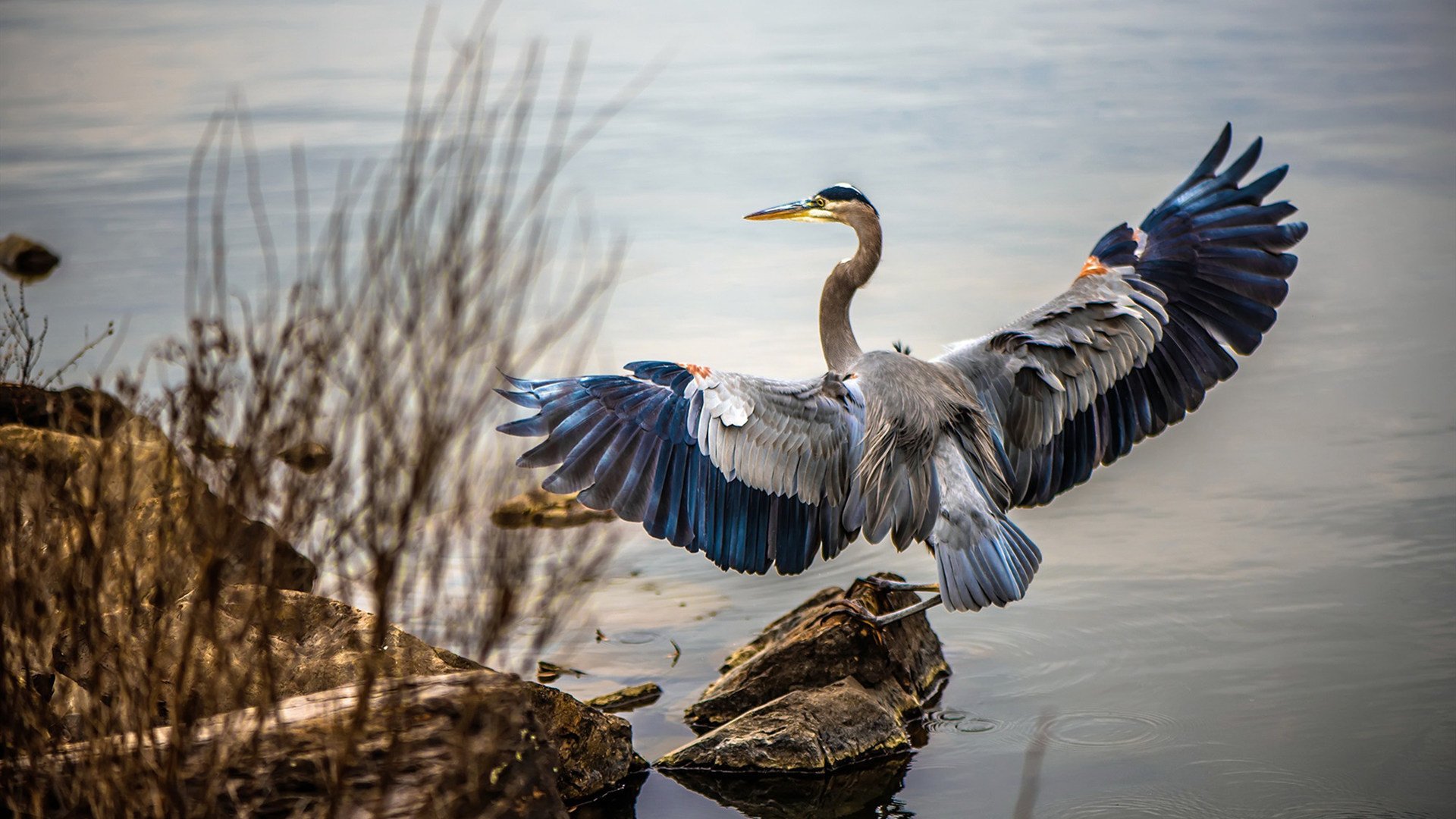 街道烽烟，亚特兰大与威尔士的F1终极鏖战