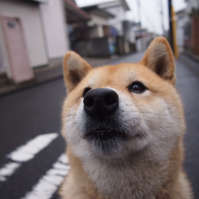 全场嘘声中砍41分却输球！拉梅洛存在感拉满之夜，湖人三巨头给出季后赛答案